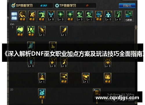 《深入解析DNF巫女职业加点方案及玩法技巧全面指南》