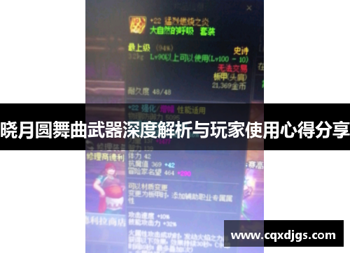 晓月圆舞曲武器深度解析与玩家使用心得分享